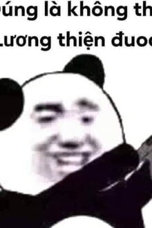 Bia cui minh