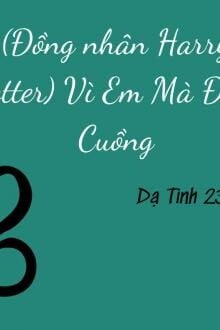 Bia cui minh