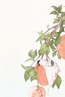 Bia cui minh