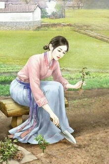 Bia cui minh
