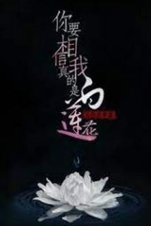Bia cui minh