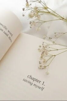 Bia cui minh