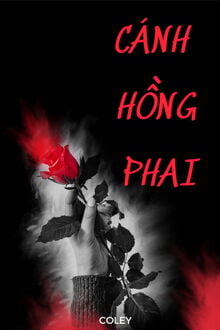 Bia cui minh