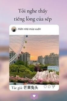 Bia cui minh