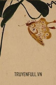 Bia cui minh