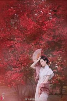 Bia cui minh