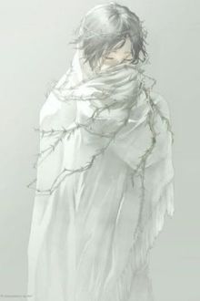 Bia cui minh