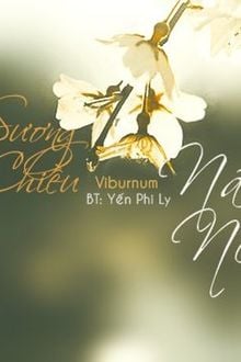 Bia cui minh