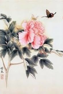 Bia cui minh