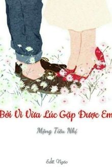 Bia cui minh