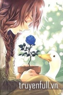 Bia cui minh