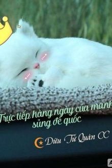 Bia cui minh
