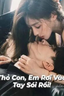 Bia cui minh