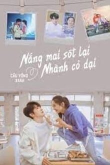 Bia cui minh