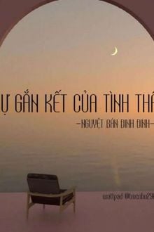 Bia cui minh