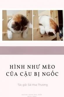 Bia cui minh