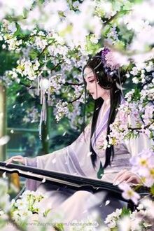 Bia cui minh