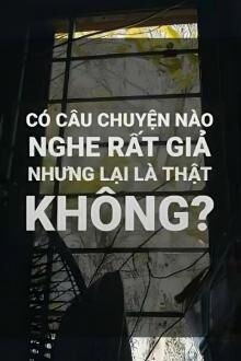 Bia cui minh