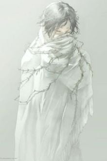 Bia cui minh