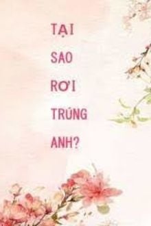 Bia cui minh