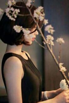 Bia cui minh