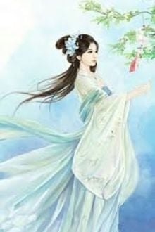 Bia cui minh